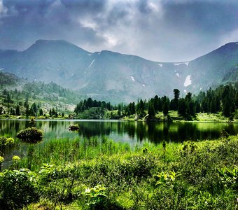 Природа вдохновляет