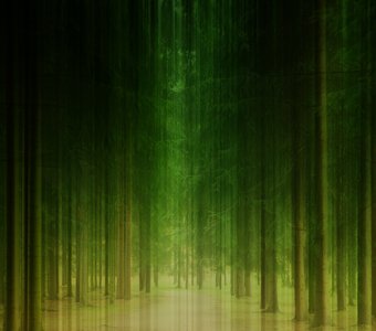 Изумрудный лес