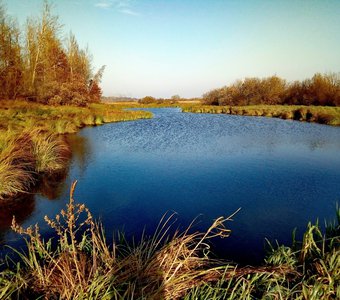 Онежский залив