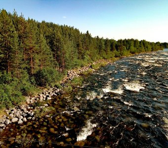 Природа Заполярья