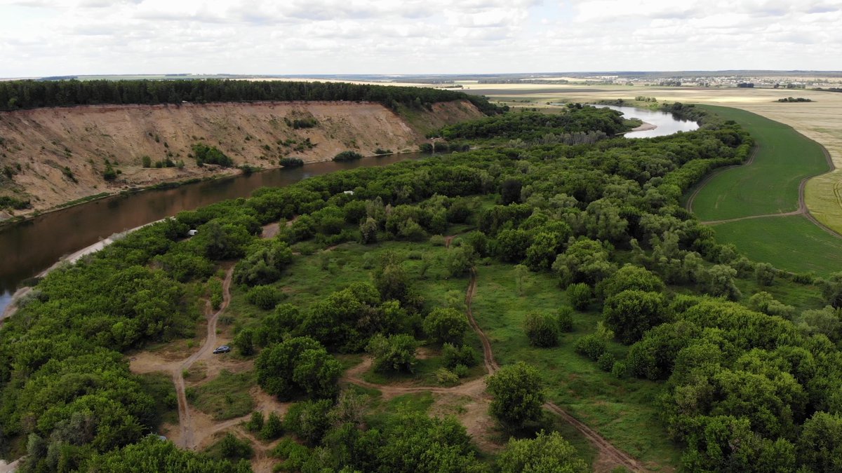 Лысая гора Кривоборье