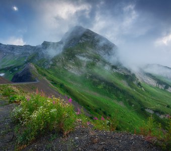 Горы. Эстосадок. Сочи