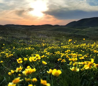 Весна в Оренбургской степи