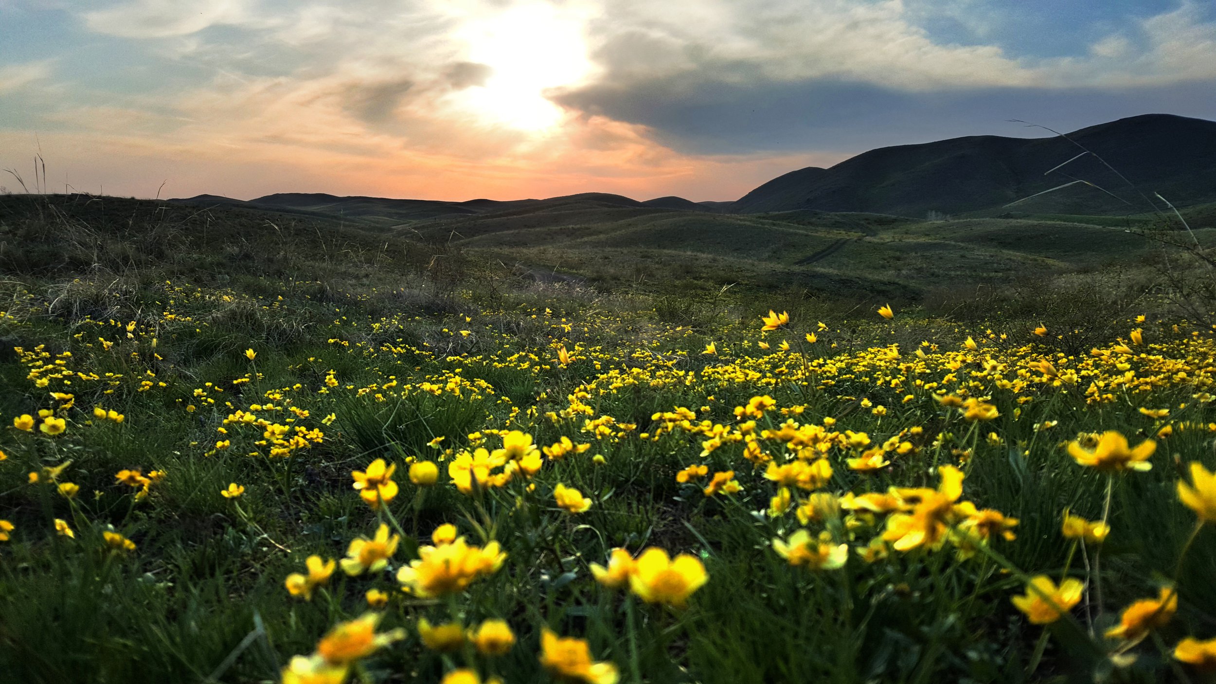 Весна в Оренбургской степи