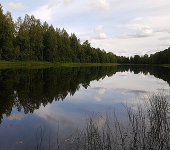 А ты возьми и переверни