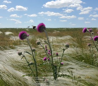 Кто быстрее?