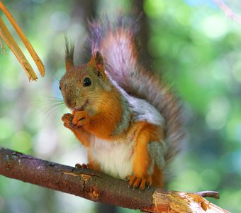 Нашла что поесть