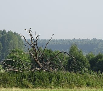 Жертва Перуну