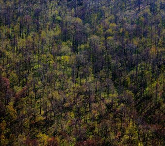 Осенний марафон