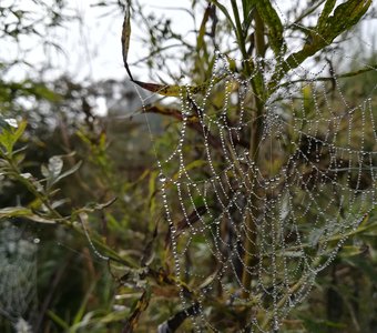 идеальный узор