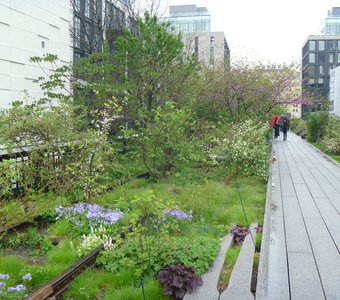 High Line, Manhattan