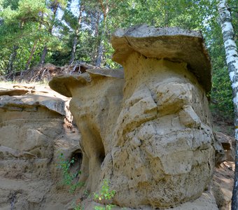 Каменные грибы Тиминских скал