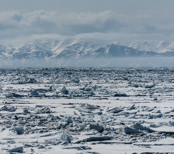 Весна в Охотском море