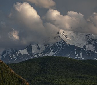 Снежные горы Алтая.