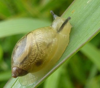 Вперёд, к покорению вершин!