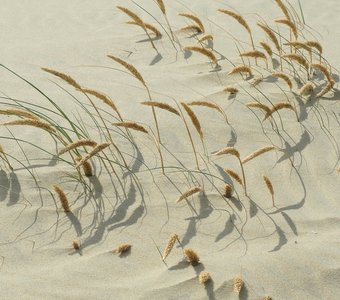 Пески времени