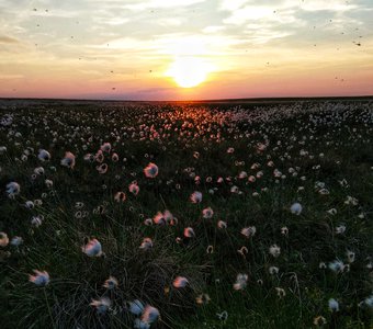 Закат в тундре