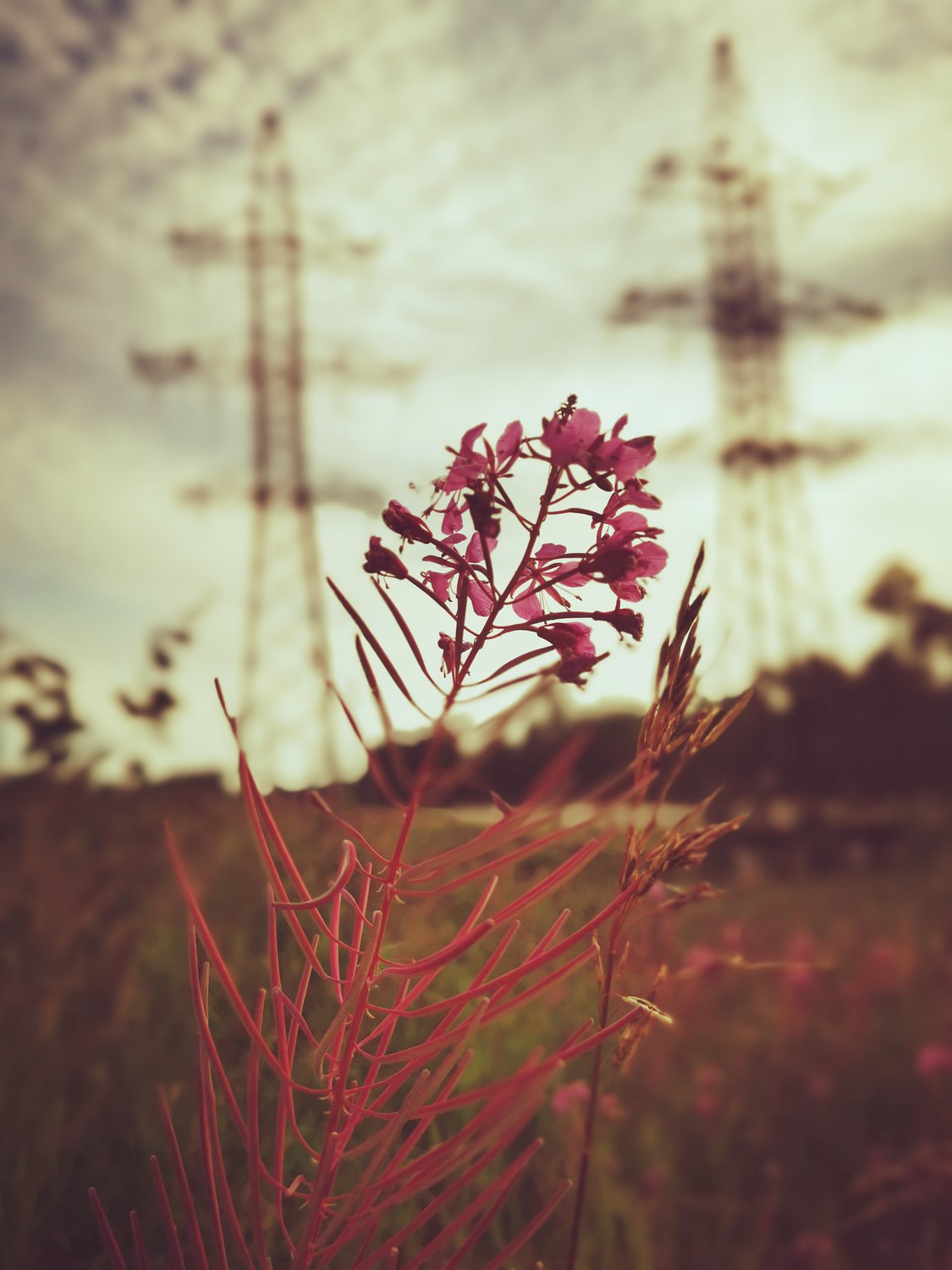 У нас скоро будет чай