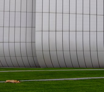 Бдительный сторож