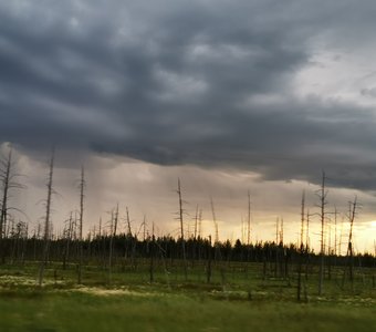 Конец грозы