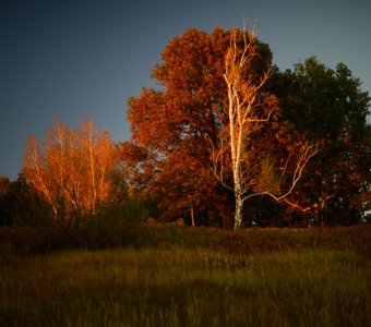 Рыжий закат