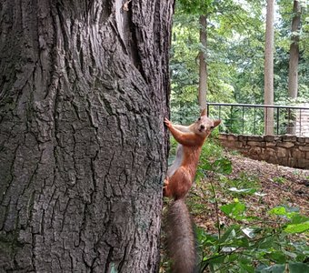 Фотосессия окончена. Я домой)