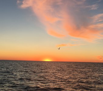 Игра красок