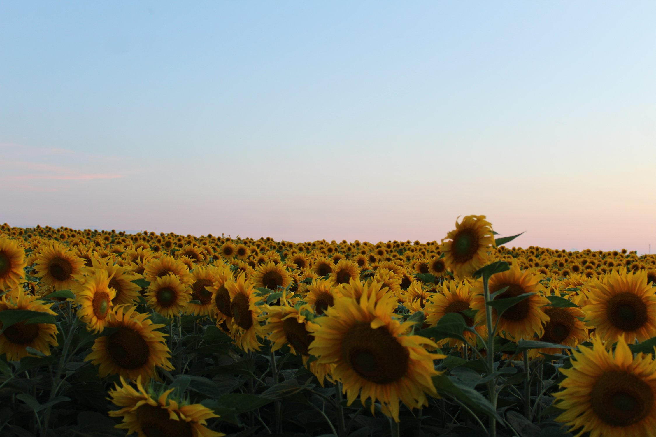 Бескрайний океан