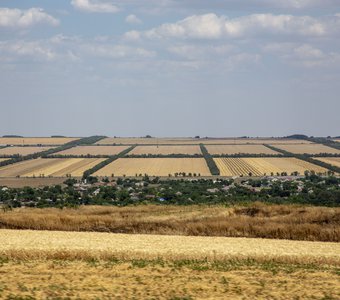 Ставропольские поля