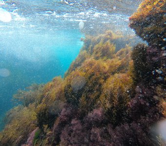Красоты Черного моря