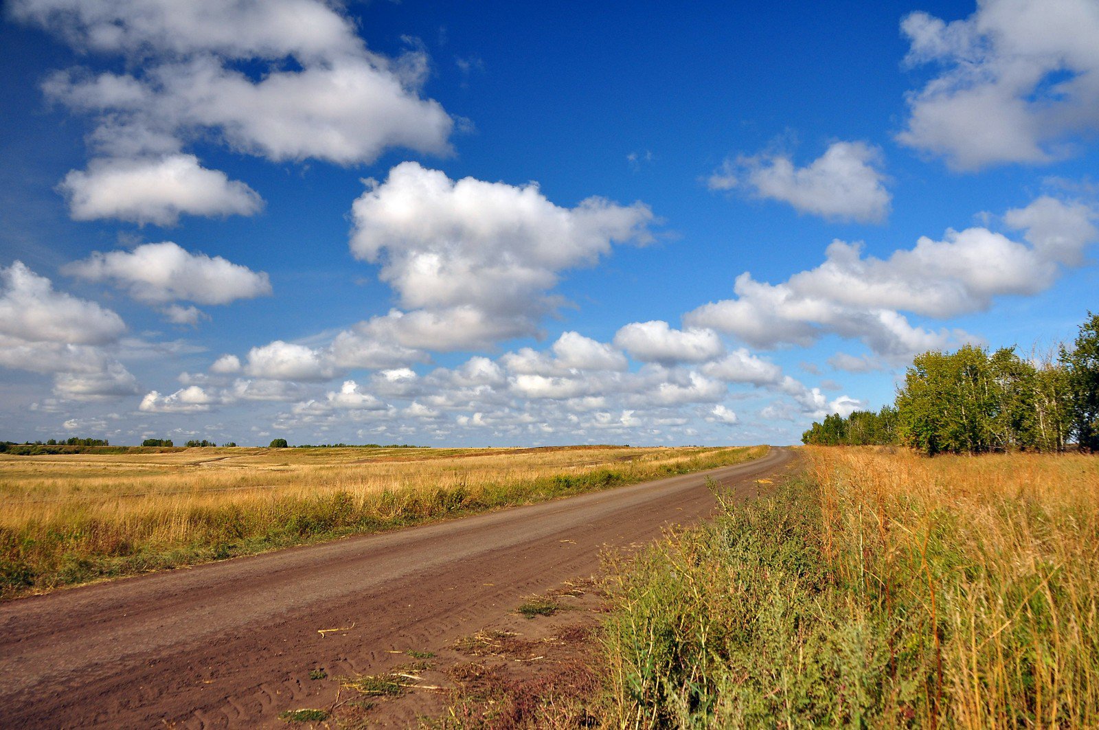 Село просторе