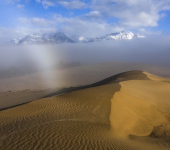 туманным утром в северной пустыне