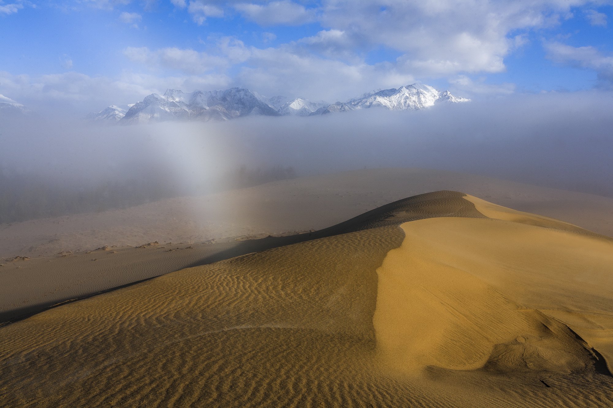 туманным утром в северной пустыне