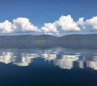 Зеркальная симметрия летнего дня