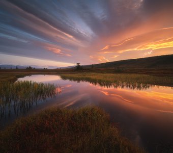 Краски Полярного Урала