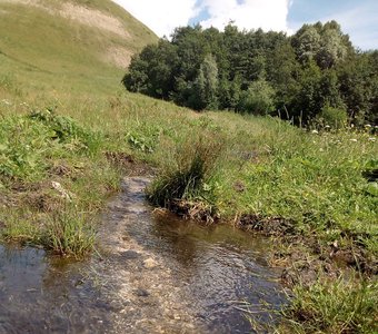 "Наш родник"