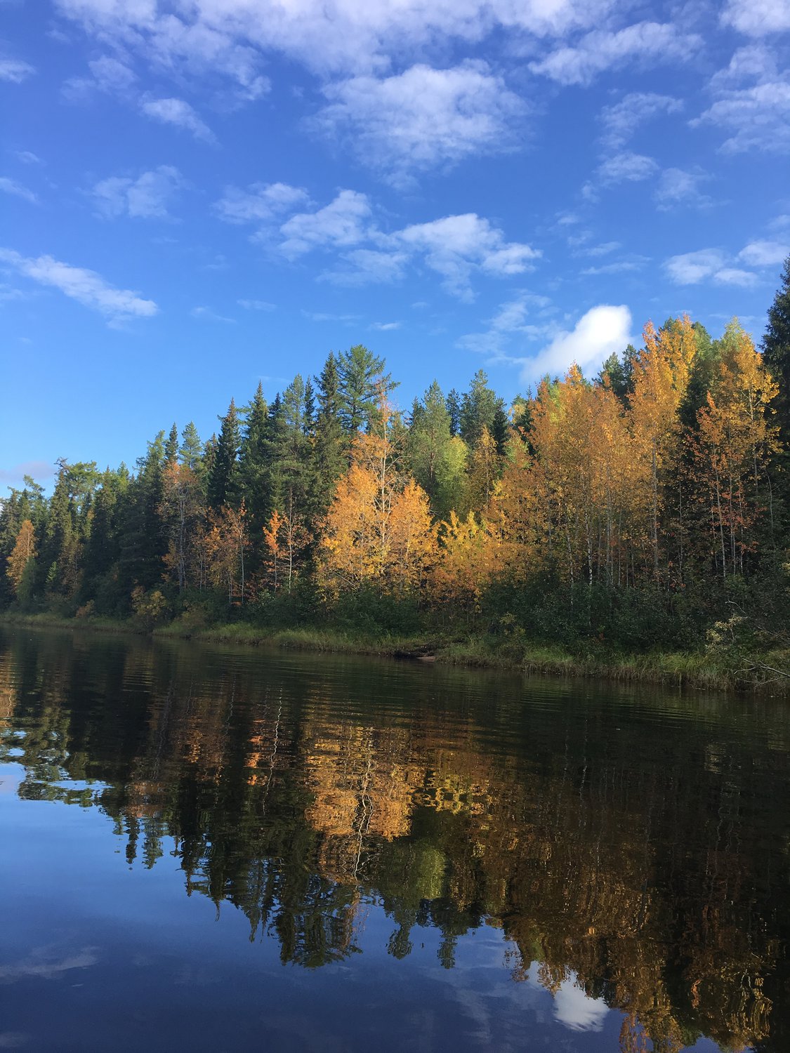 Осень на р.Кулой