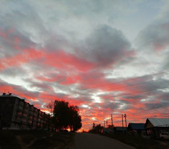 Кровавые дали