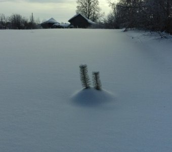 вдвоем нестрашно среди снежной пустыни... .