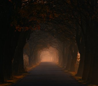 Осенняя Калининградская дорога