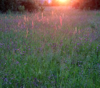 Деснинский спуск. Брянск