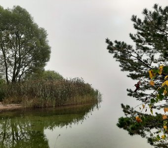 Плещеево озеро в осеннем тумане