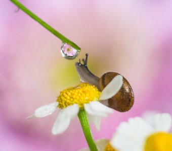 Маленький мир...