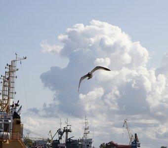 Полёт над портом
