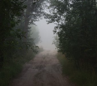 Дорога в неизвестность