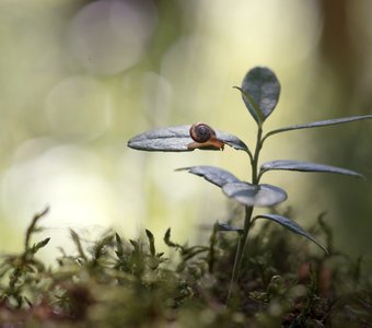 Не провалиться бы!