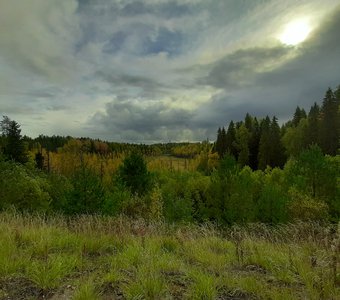 Карельская палитра осени