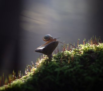 Тёплый свет...