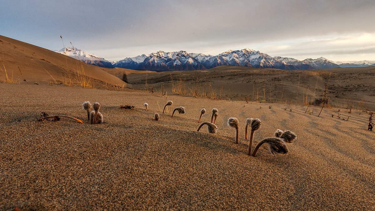 ждущие тепла