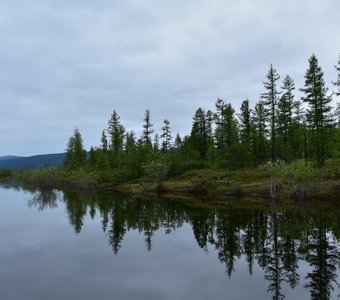 Когда вода отражает лучше зеркала